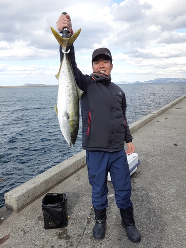 メジロの釣果