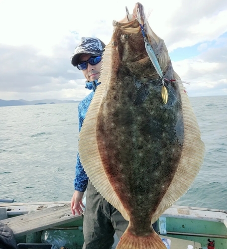 ヒラメの釣果