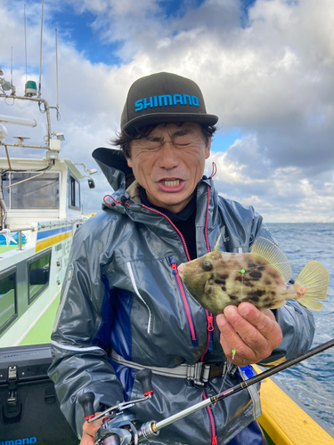 カワハギの釣果