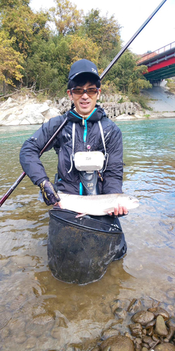 ニジマスの釣果