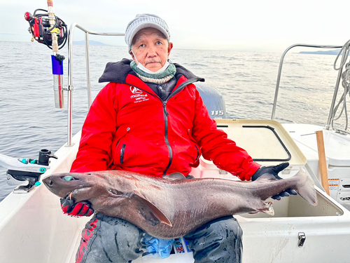 ユメザメの釣果