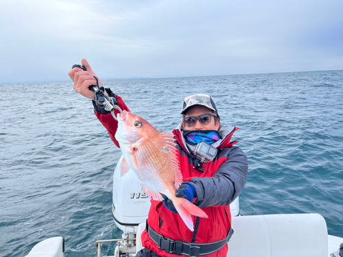 タイの釣果