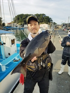 グレの釣果