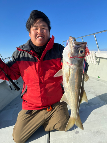 クロムツの釣果