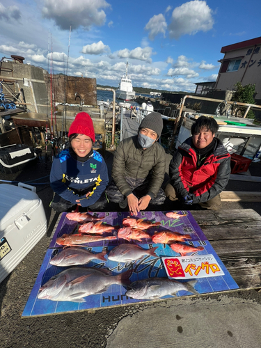 マダイの釣果