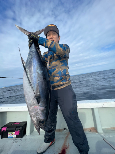 ビンチョウマグロの釣果