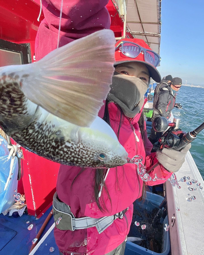 ショウサイフグの釣果