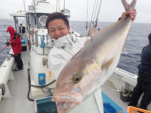 カンパチの釣果