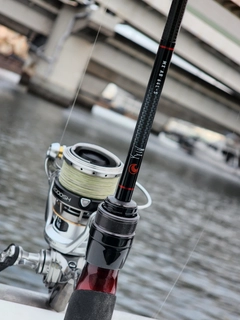 マアジの釣果