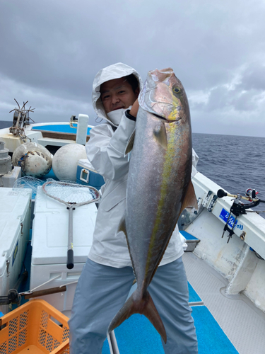 カンパチの釣果