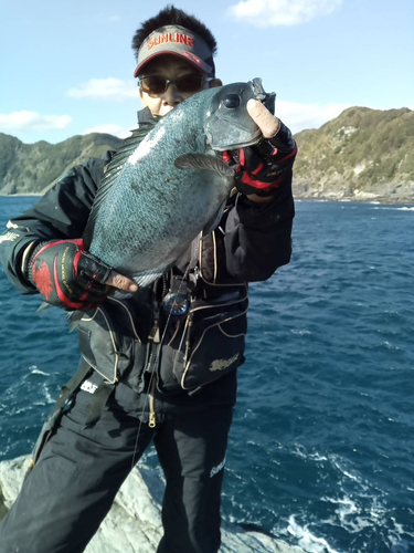 クチブトグレの釣果