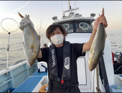 カンパチの釣果