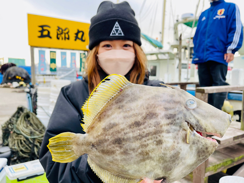 カワハギの釣果