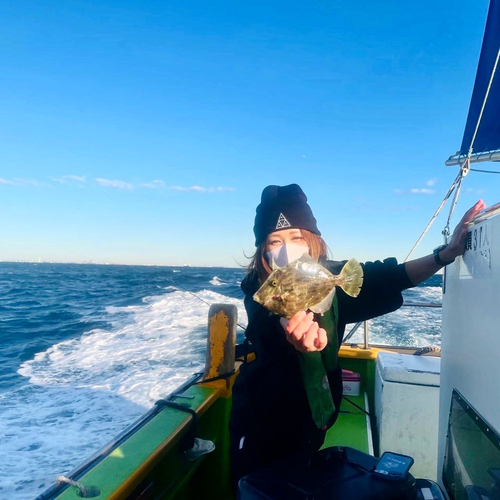 カワハギの釣果