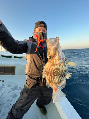 マトウダイの釣果