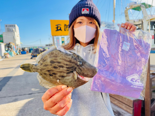 カワハギの釣果