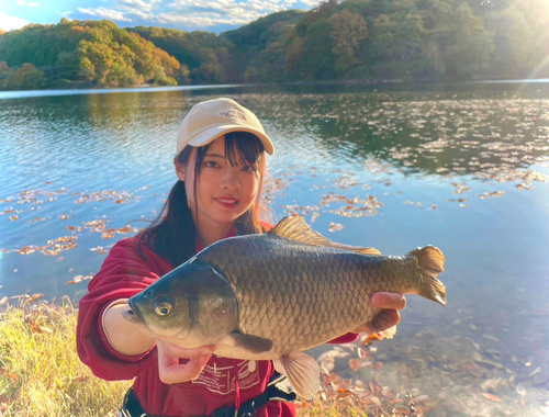 ヘラブナの釣果