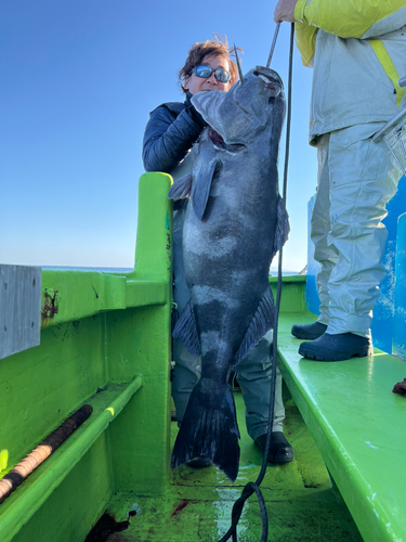 アブラボウズの釣果