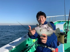 カワハギの釣果