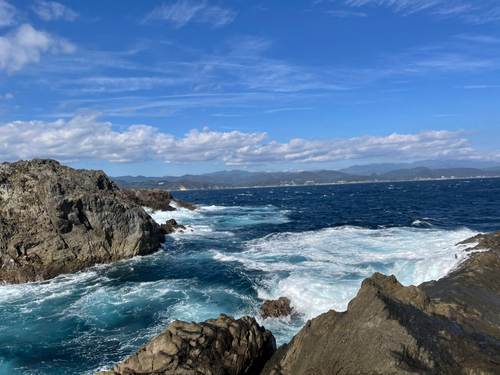 グレの釣果