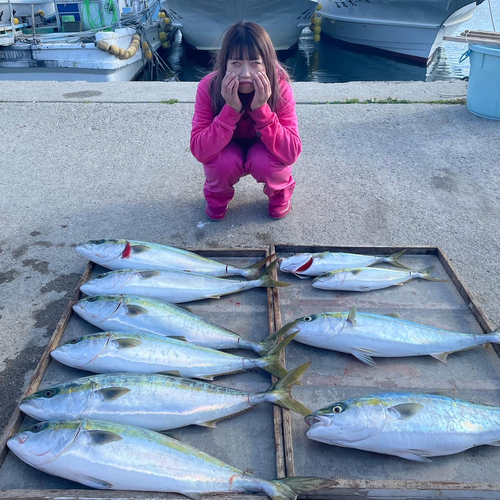 ワラサの釣果