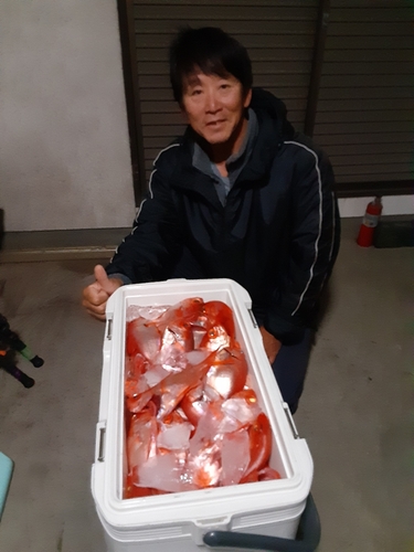 キンメダイの釣果