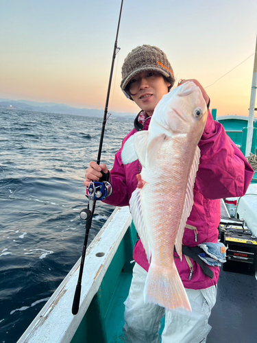 シロアマダイの釣果