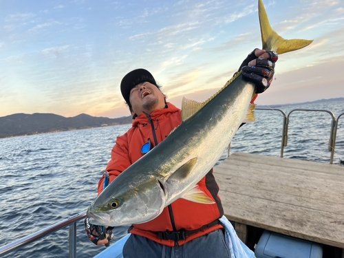 ブリの釣果