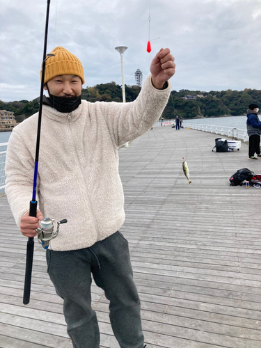 イシモチの釣果