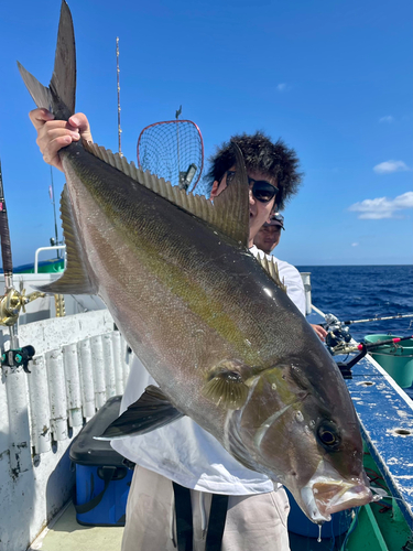 カンパチの釣果