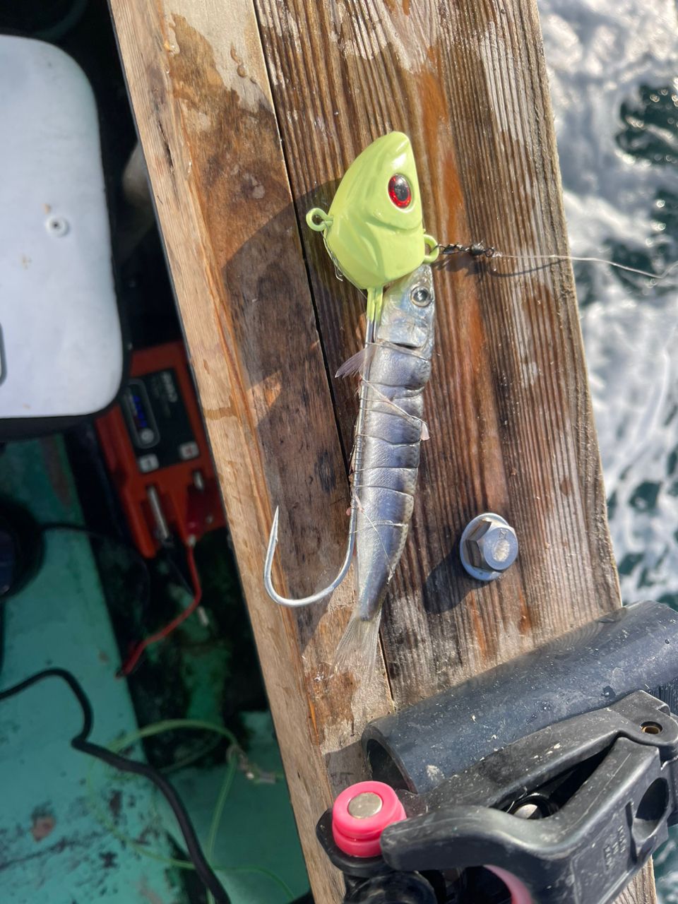 kunchanさんの釣果 2枚目の画像