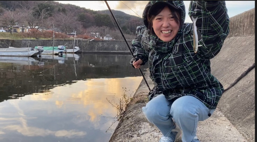 ワカサギの釣果