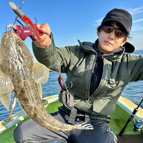 マゴチの釣果