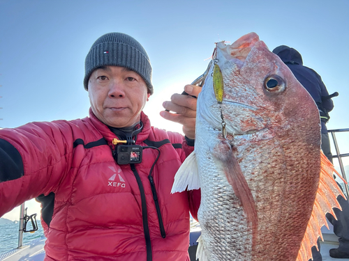 マダイの釣果