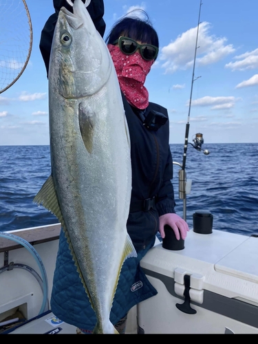 ヤズの釣果