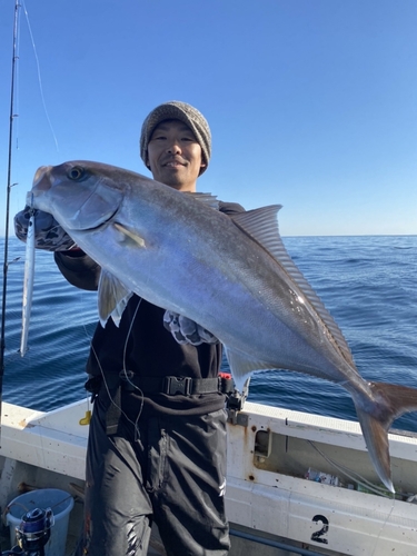 カンパチの釣果