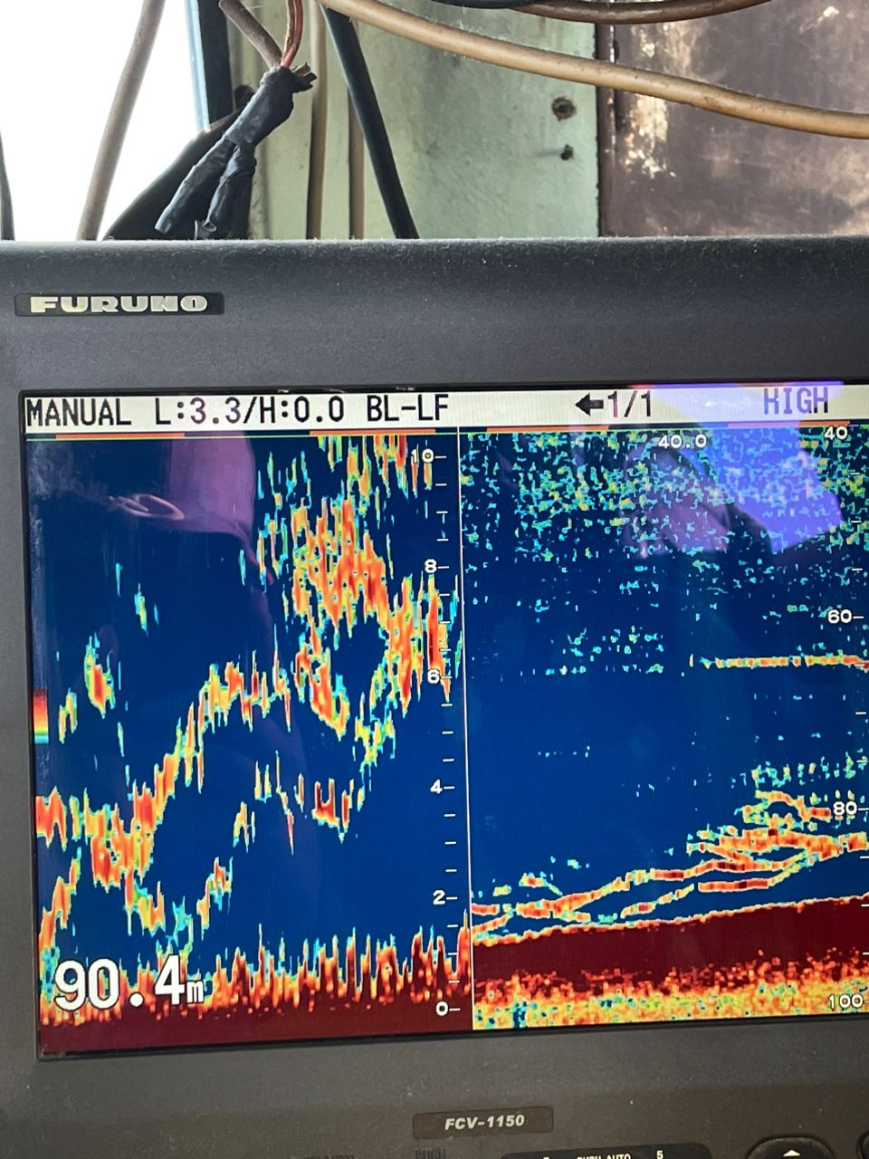 タイタクさんの釣果 2枚目の画像