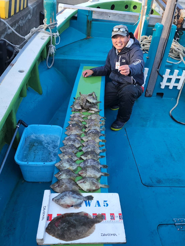 カワハギの釣果