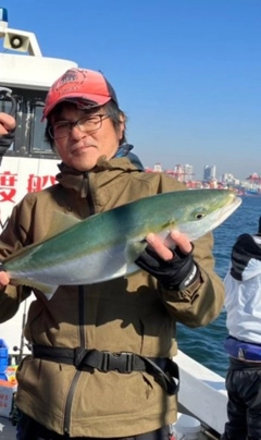 メジロの釣果