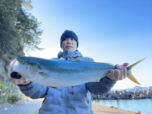 メジロの釣果