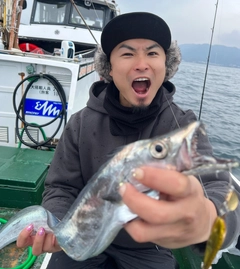 タチウオの釣果