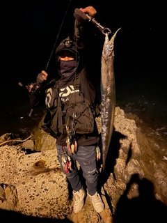 タチウオの釣果