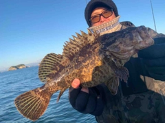 ベッコウゾイの釣果