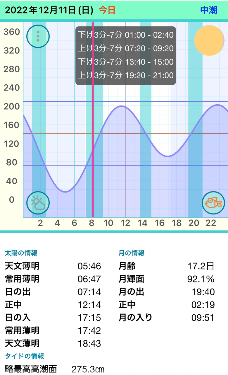 アオリイカ