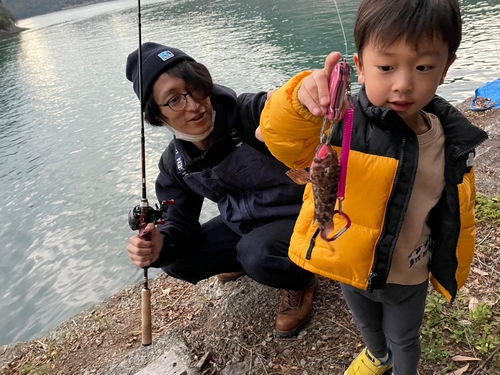 アラカブの釣果