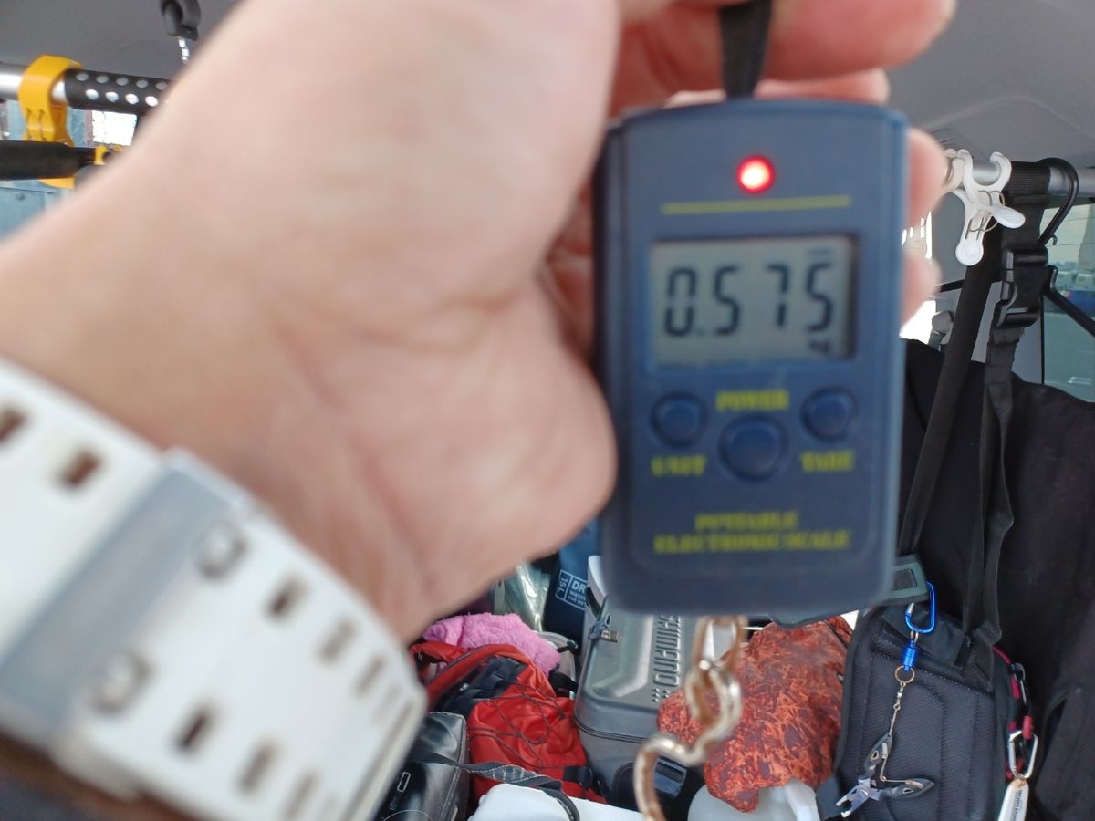 ロッソさんの釣果 2枚目の画像