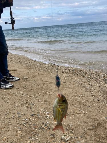 釣果