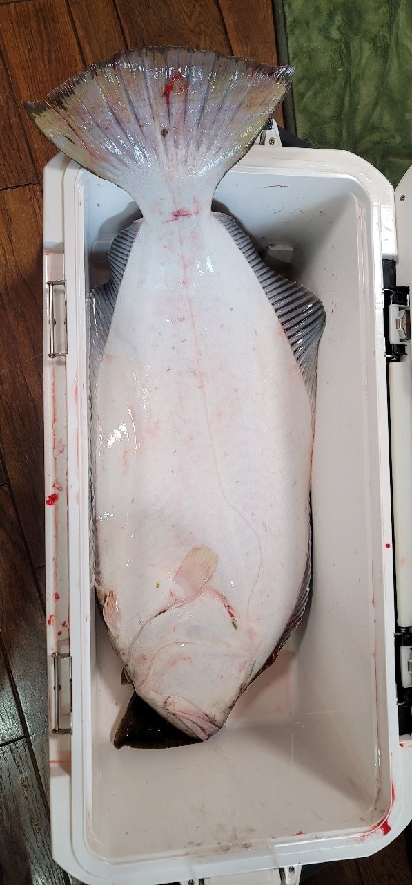 かねよしさんの釣果 2枚目の画像