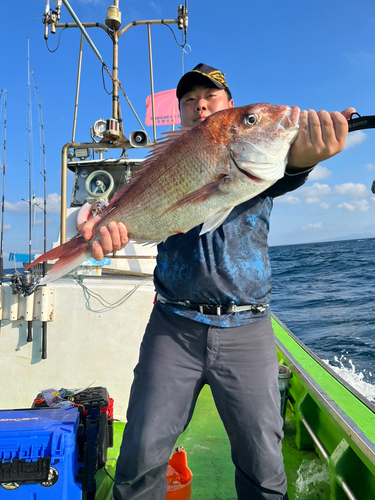 マダイの釣果