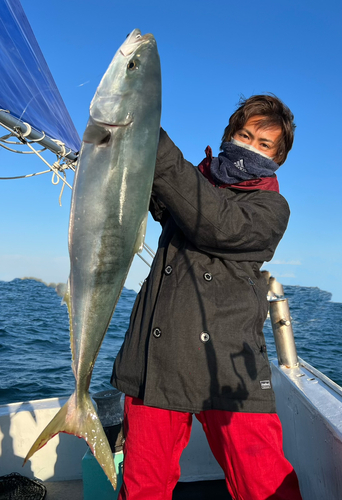 ハマチの釣果